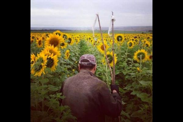 Ukrayna'nn Grabovo kasabasndaki madenciler ayicekleri arasnda den Malezya uann enkazlarn aryor.   <br>Photo: @HOFFMANBRENDAN</br>