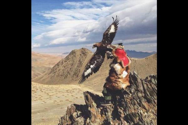 13 yandaki Mool avc Aishol Pan ve kaya kartal.  <br> Photo: @INOMAD</br>