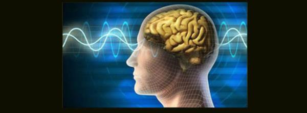 Oysa kalbin yeniden altrlmasnn ardndan verilecek fazla miktarda oksijen, nrolojik hasar artryor. Bu nedenle beyne giden oksijenin miktarn kontrol etmek hastann tekrar yaama dndrlmesinde byk nem tayor" dedi.