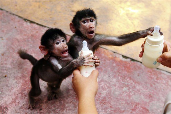 <br><b>Zhejiang- in</b></br>  17 Eyll 2014