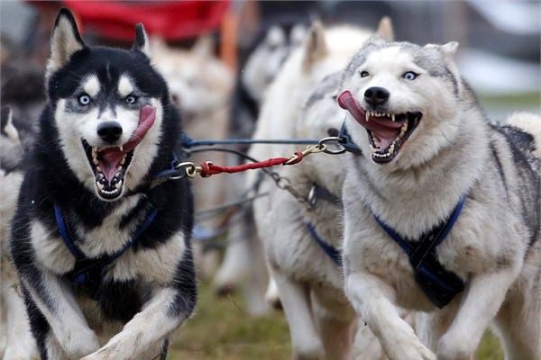 <br><b>Venek</b></br>  22 Kasm 2014