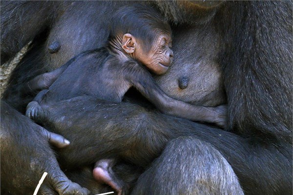 <br><b>Sydney</b></br>  31 Ekim 2014