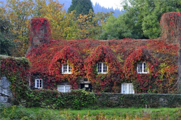 <br><b>Kuzey Galler</b></br>  23 Eyll 2014