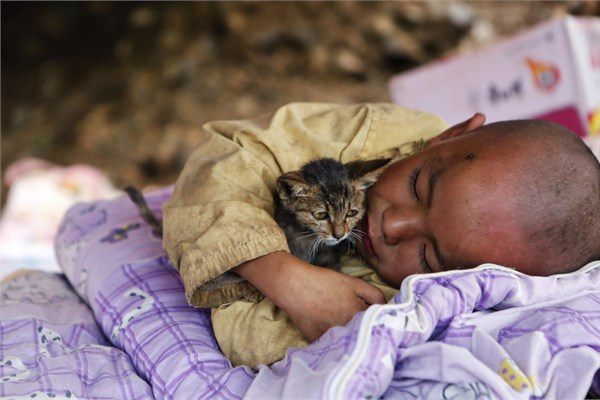 <br><b>in</b></br>  5 Austos 2014