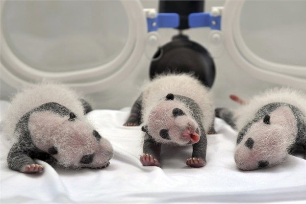 <br><b>Guangzhou, in</b></br>  17 Austos 2014