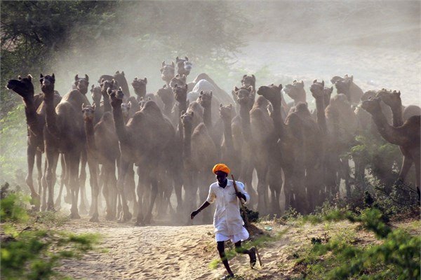 <br><b>Hindistan</b></br>  28 Ekim 2014