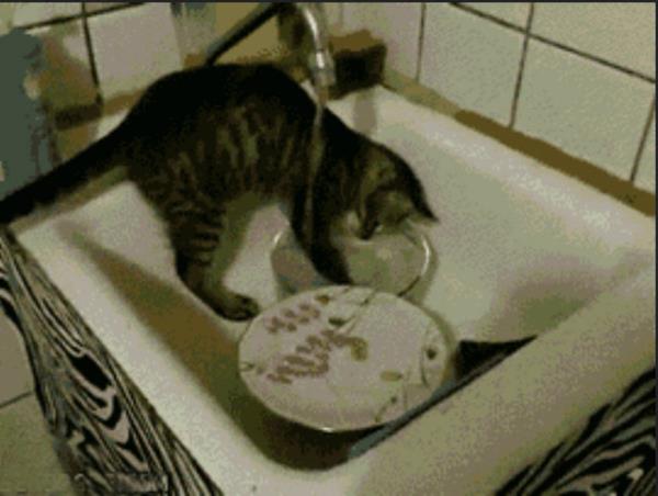 21. Evde temiz tabak kalmadn fark ettiimizde bulak ykamak.