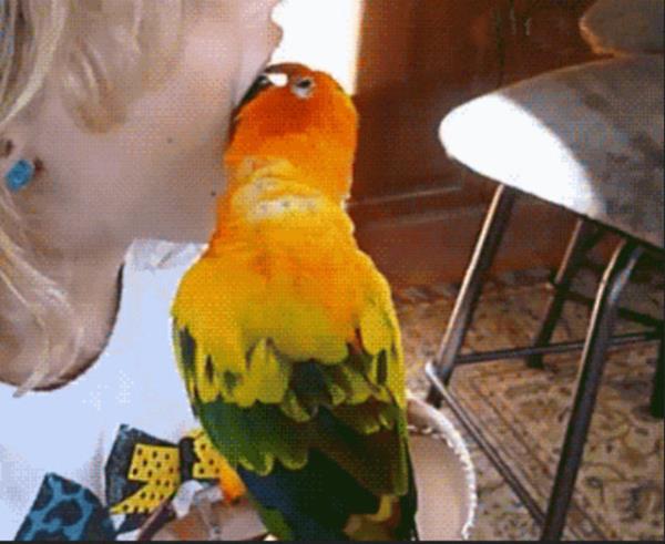 <br><b>14. Di arsndan ldnde diiye gitmek. </b></br>  Diiyi bo ver ben arabayla ekerim senin dii.   <br>Geberiyorum kanka...</br>