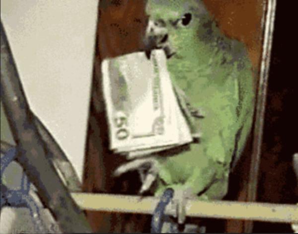 <br><b>8. Kiray ve bilimum faturay demek </b></br>  Aaaa elektrikler kesildi... Sen yine faturay unuttun deil mi?   <br>Dur gidip yatraym bari.</br>