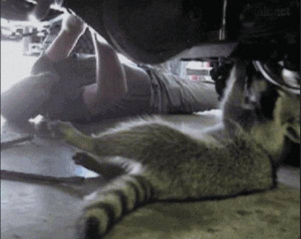 <br><b>9. Aracmzn bakmn yaptrmak iin ya da klk lastiklerini taktrmak iin sanayiye gitmek. </b></br>  Kar lastii taktrmak iin karn yamasn bekler, servis lambas yanmasna ramen yolda kalmadan servise gtrmeyiz