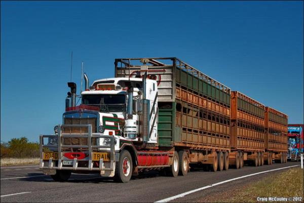 Bir dier zellii ise dnyann birbirine daha fazla entegre olmas.