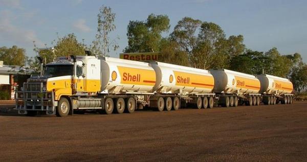 Bu trlar i kesimlerde bulunan bir ok kasabann hayat damar.