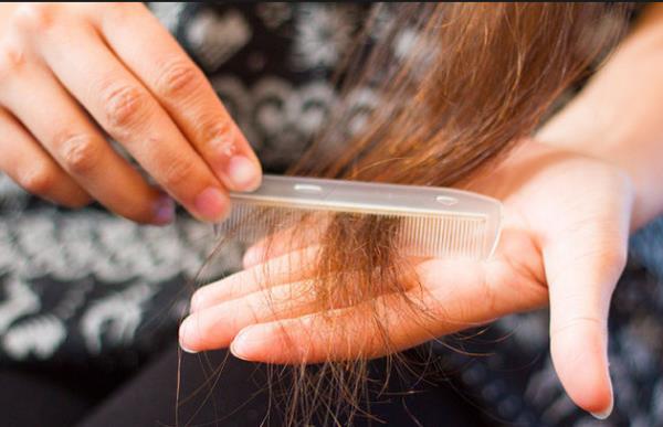 Ba taranrken dklen salar dkmek doru deildir, bunlar toplanr, lnce o kiinin kabrine konur. nk bu salar kyamet gnnde tekrar bitecektir.