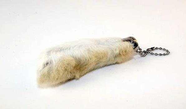 <p>Tavan ayann ans getirdiine inanmak</p>    Milattan nce 7. yzylda tavan tlsml bir hayvan olarak grlyordu. Bu nedenle tavann sol arka ayann insanlara ans getirdiine inanlyor.