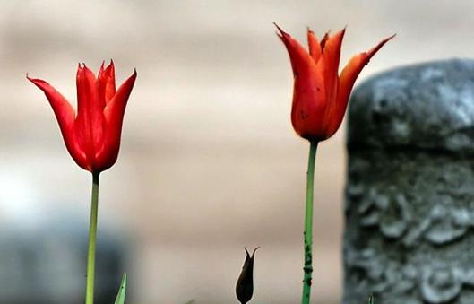 lm kiilere hakaret etmek, svmek haramdr.