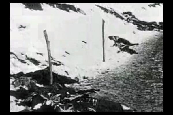 <b>27-28 Aralk:</b> 9. Trk Kolordusu taarruzlarna devam etti ama hem Trklerin hem de Ruslarn durumlarnda nemli bir deiiklik olmad.