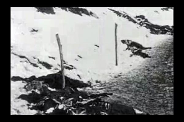 <b>29 Aralk:</b>10. Kolordu Sarkam blgesine geldi. Rus kuvvetleri, 9. ve 10. Kolordu'nun taarruzlaryla olduka skntl saatler yaad. Trkler, Sarkam stasyonu ve kuzeyiyle kprye kadar girdi. Ruslar, kar taarruzlarla cephesini dzeltti.