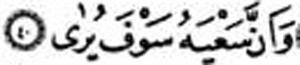 Necm, 40- Bu gayretinin semeresi de ileride ortaya kacaktr.