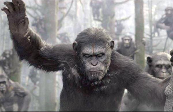 11. Maymunlar Cehennemi: afak Vakti / Vizyon tarihi: 11.07.2014 / Toplam Seyirci Says: 624.396