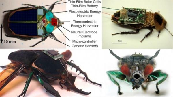<br><b>Mikro Elektronik Silahlar (MEMS)</b></br>  MEMS sitemi gnmzde var olan mekanik ve elektrik sistemlerin entegre ve minyatr versiyonlar olup, mikron boyunlarda olan sistemlerdir. Dmann fark edemeyecei bcek robot patlayclar veya casuslar olarak retilen bu sistemler zerinde almalar devam etmektedir