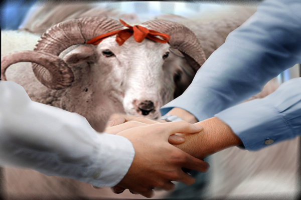 <br><b>Kurban Bayram</b></br>  23 Eyll gn arefe yarm gn