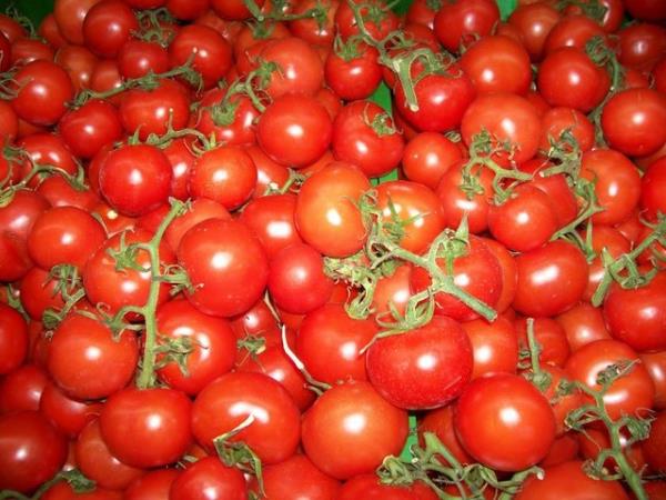 Buna gre salatalk, patlcan, kabak, biber ve domates meyve olarak deerlendirilir.