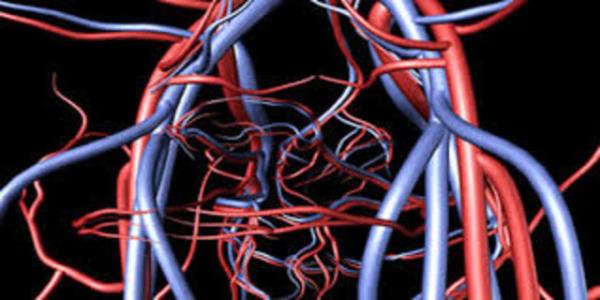 Damarlarmzn mavi renkte grnmesi vcudumuza gelen n bir ksmnn emilmesi ve bir ksmnnda yanstlmasyla ilgilidir