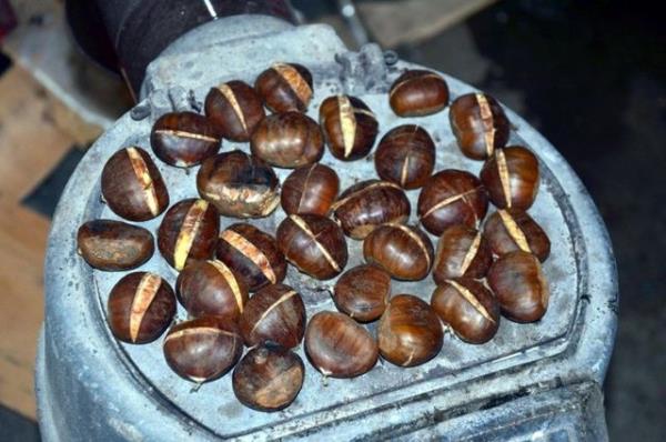 zellikle souk k akamlarnn vazgeilmez elenceli attrmal olan bu tohumlar, niastal yapsndan dolay yemeklerde lezzet verici ve kvam artrc olarak kullanlyor.