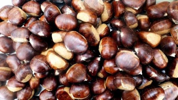 Kestaneyi sala zarar vermeyecek ekilde tketmek iin halayarak hazrlamak ilk alternatif olmaldr.