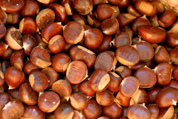 <b>lyak hastalna kestane:</b> Kestane ayn zamanda gluten ierii olmayan bir yemi olduundan, gluten iermeyen besinlerin hazrlanmasnda da kullanlr.