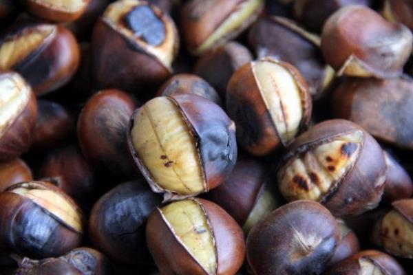 eker hastalarnn kan ekeri takibinde kontrol kaybetmemek iin ve dengeyi salayabilmek iin gnde 5-6 taneden fazla olmayacak ekilde bir ara n gibi tketilmelidir.