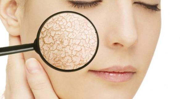 Cildinizi yenileyen ve bakm ad altnda yzlerce lira deyerek aldnz rnleri artk bir kenara brakn ve ie yaramaz bu rnlerin yerine doal yollar deneyin. Azdan aldmz pek ok sebze ve meyve cildimizi yeniler; taze, aknelerden arnm, canl, ltl bir grnme kavumalarn salar.  <p><b<Gelin bunlara bir gz atalm :</b></p>