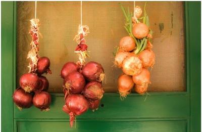 <p><b>Yunanistan</b></p>    Komuda yeni yl akam kaplara bir ba soan aslyor. Bu, yeniden douun sembol olarak kabul ediliyor. Anne-babalar ertesi sabah kapdaki soan ocuklarnn balarna vurarak onlar uyandryorlar. Ayrca yeni yln ilk gn kapnn eiinde nar krarak, bereketli bir yl diliyorlar.