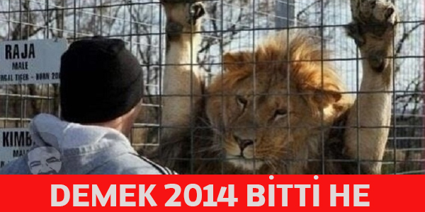 2015 yl iin mthi capsler