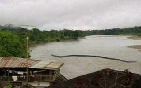 Bir ksm gazete okuyucusu resimde aknt ile yzen bir ktk grdklerini iddia ederken bir baa okuyucu "Hi ktklerin kanatlar olur mu?" diye sordu. Bir bakas bu resmin bir srat botuna ait olduunu yazd.  <p>Dev ylan resmi ve gazete haberleri blgede yerli halk arasnda sklkla anlatlan Nabau isimli boynuzlu dev ylana ait efsaneleri yeniden alevlendirdi.</p>