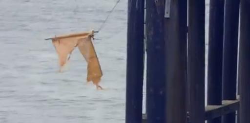 Grntlerin kurgu olduu aka belli olsa da grntler internette en ok paylalanlar arasnda yer ald.