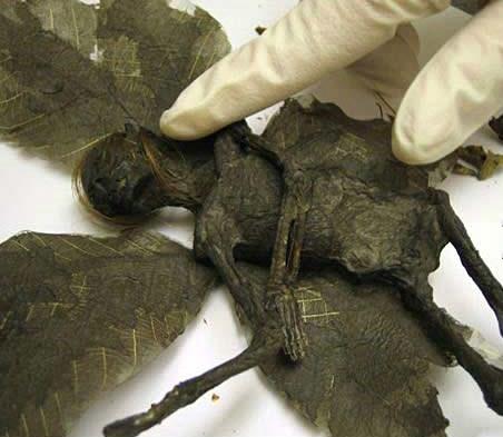 te internette dolaan tartmal fotoraflar sizin iin biraraya getirdik...     "Peri" mumyas: SAHTE