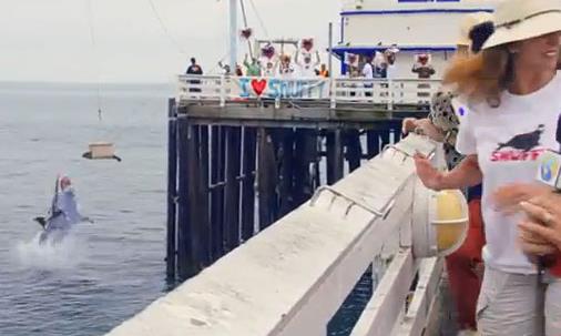 O srada grenleri hayrete dren olayn videosu izlenme rekoru krarken baz kesimler ise bu grntlerin montaj olduu iddiasnda bulundu.