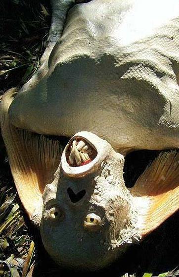 Bir sanatnn elinde kma bu "deniz kz", 2006 ylnda Ebay'de satld.