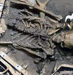 Devasa insan iskeleti: SAHTE