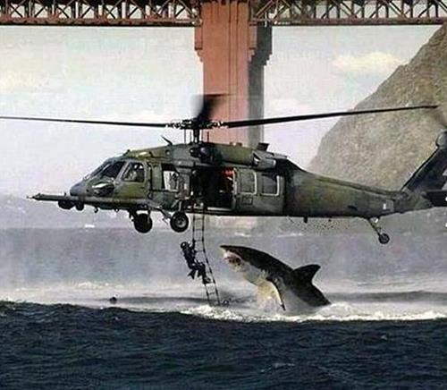 Helikopterden uzatlm merdivendeki dalga kpekbal saldrd: SAHTE