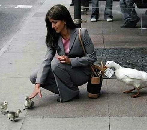 Yavrular kadnn dikkatini datrken, anneleri antadan para alyor. SAHTE. Fotoraflar bir reklam kampanyas srasnda ekildi ve hayvanlar oyuncakt.