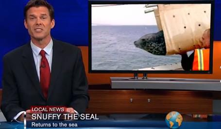 Trenle denize braklan fok baln, kpek bal havada kapt.