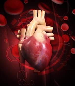 <br><b>6 SAAT SONRA</b></br>  Kalp atlarnz yavalyor ve kan basncnz dyor.