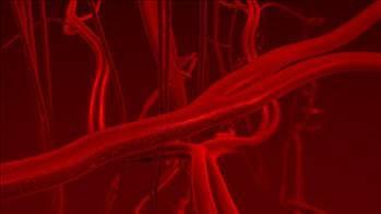 <br><b>BR GN NDE</b></br>  - Neredeyse tm nikotin kannzdan atlyor.  <br>- Kandaki karbon monoksit seviyesi dyor ve oksijen kaslara ve kalbe daha rahat ulayor.</br>  - Parmak ularnzdaki s artyor ve elleriniz daha az titriyor.