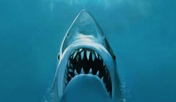 Ne oldu? Oysa Jaws serisi iin bugne dek 4 film ekildi.