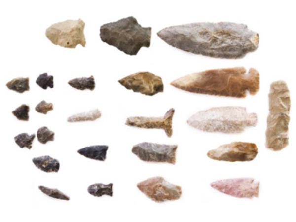 Salkl yemek ve kendisini korumak iin gereken her trl bulua nayak olmas asndan