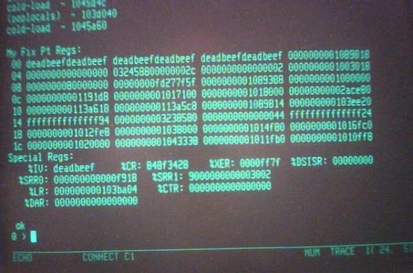 8."Dead Beef" nedir? nemini aklaynz.