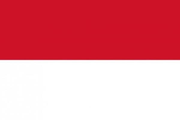 Endonezya - Nfusu: 252.164.800