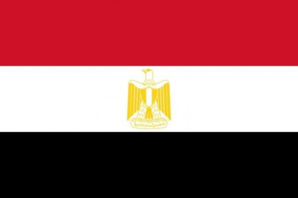 Msr - Nfusu: 87.118.500